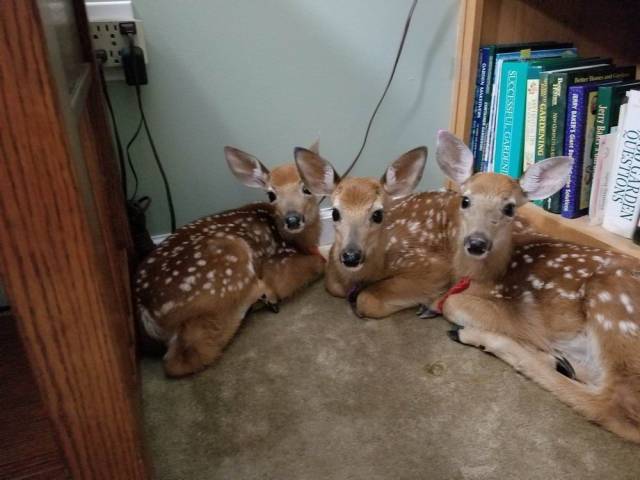 daily picdump 100 pics 29.html - 100 HD Photos | Premium Gallery 2018