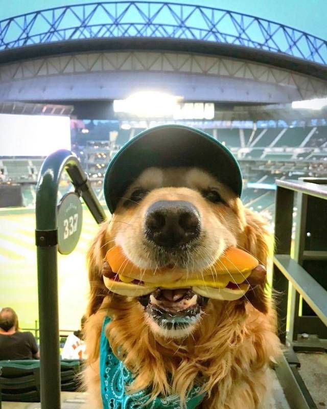 Daily Picdump