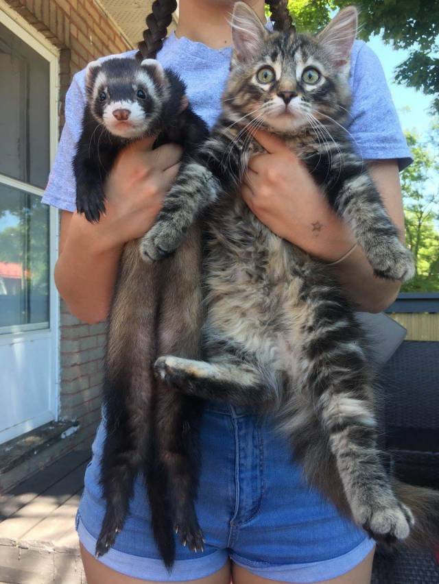 daily picdump 100 pics 29.html - 100 HD Photos | Premium Gallery 2018