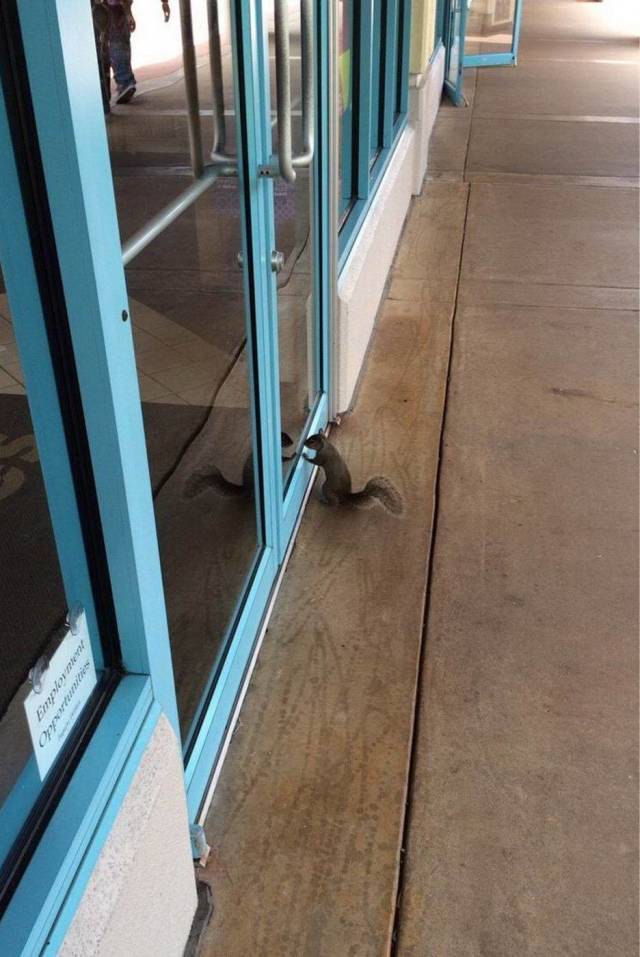 daily picdump 100 pics 29.html - 100 HD Photos | Premium Gallery 2018