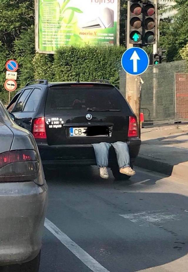 daily picdump 100 pics 29.html - 100 HD Photos | Premium Gallery 2018