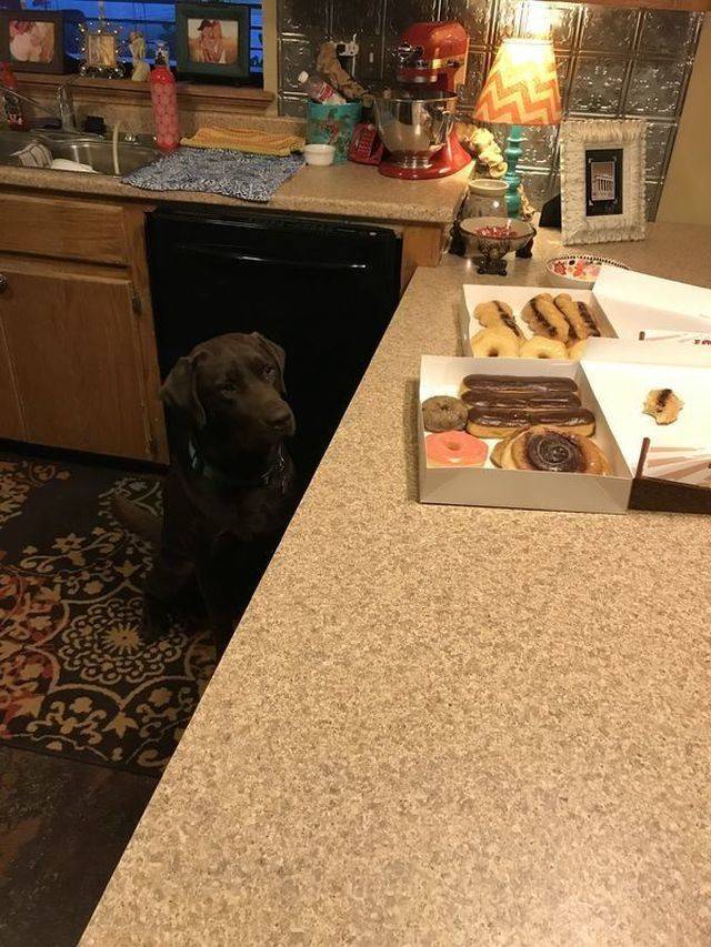 daily picdump 100 pics 29.html - 100 HD Photos | Premium Gallery 2018