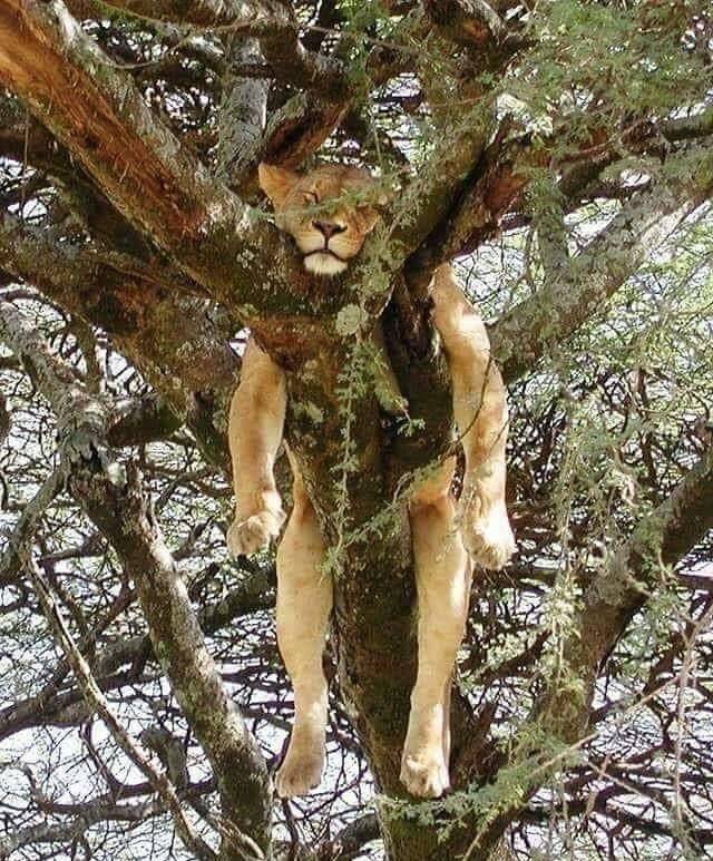 daily picdump 100 pics 29.html - 100 HD Photos | Premium Gallery 2018