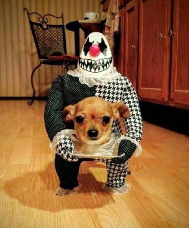 daily picdump 100 pics 29.html - 100 HD Photos | Premium Gallery 2018