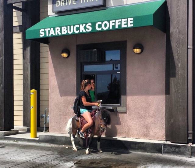 Daily Picdump [WEEKEND EDITION]
