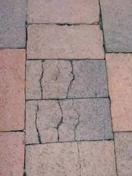 Daily Picdump [WEEKEND EDITION]