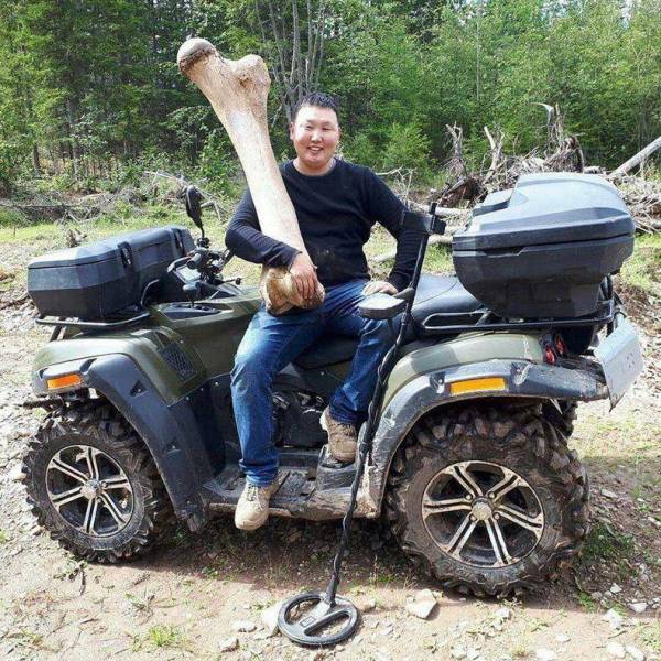 daily picdump weekend edition 52 pics 5.html - 52 HD Photos | Premium Gallery 2018