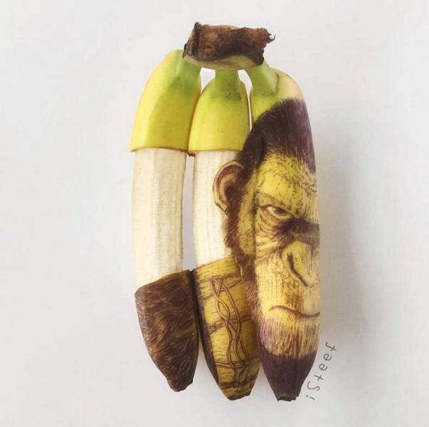 daily picdump weekend edition 52 pics 5.html - 52 HD Photos | Premium Gallery 2018