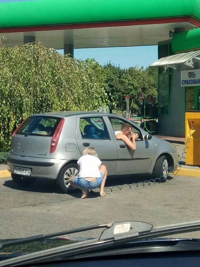daily picdump weekend edition 52 pics 5.html - 52 HD Photos | Premium Gallery 2018