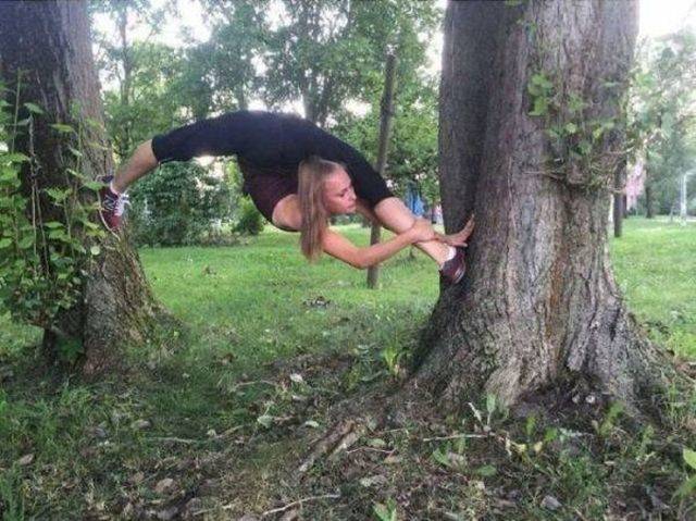 Daily Picdump
