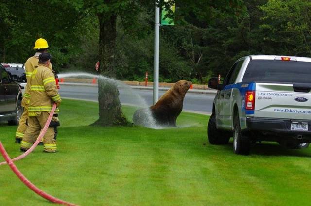 daily picdump 94 pics 22.html - 94 HD Photos | Premium Gallery 2018