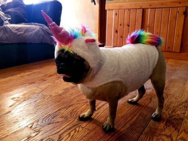 daily picdump 94 pics 22.html - 94 HD Photos | Premium Gallery 2018