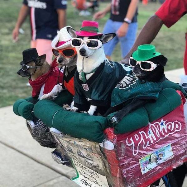 daily picdump 94 pics 22.html - 94 HD Photos | Premium Gallery 2018