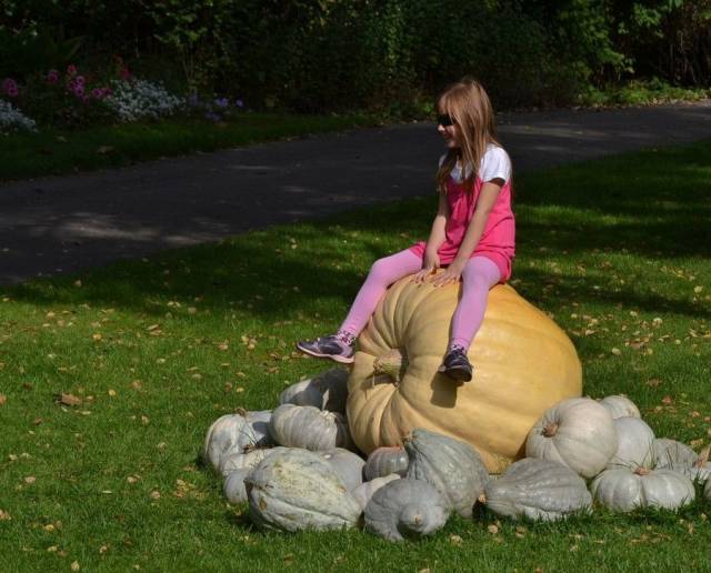 daily picdump 94 pics 22.html - 94 HD Photos | Premium Gallery 2018