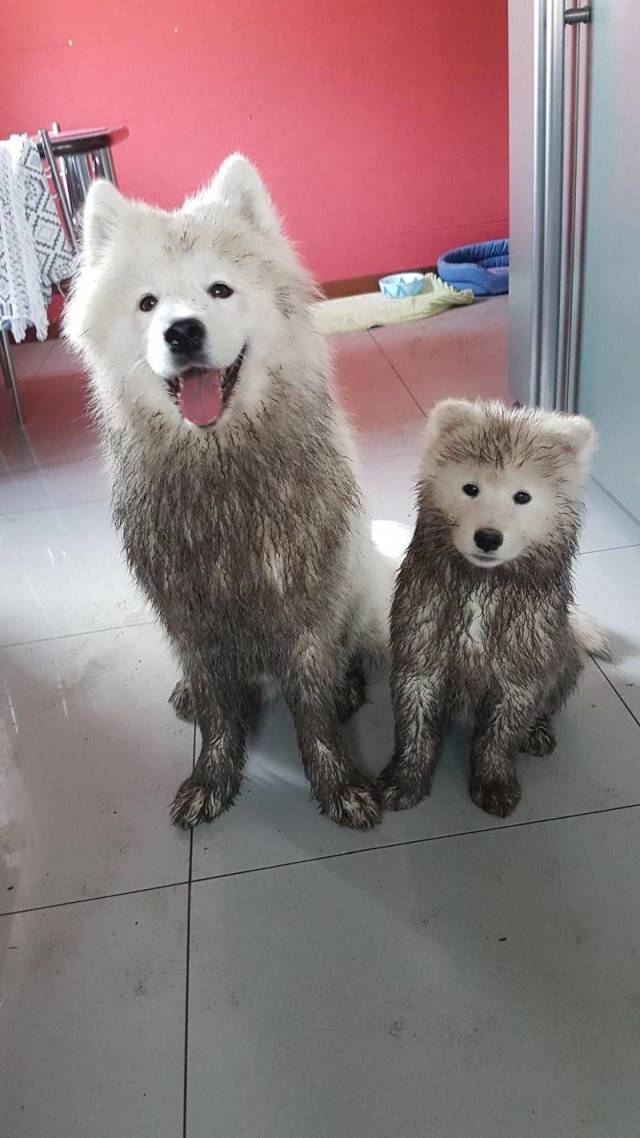 Daily Picdump
