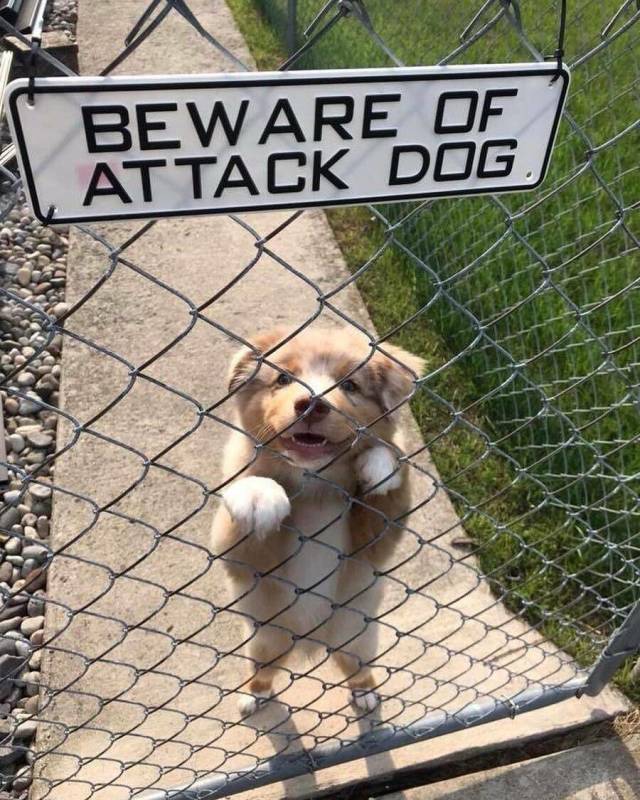 Daily Picdump