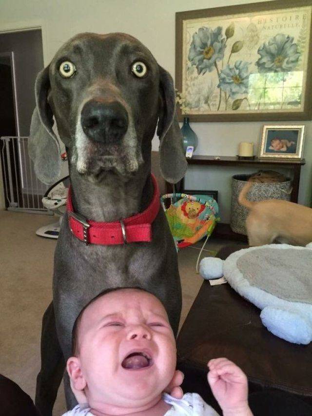 daily picdump 94 pics 22.html - 94 HD Photos | Premium Gallery 2018
