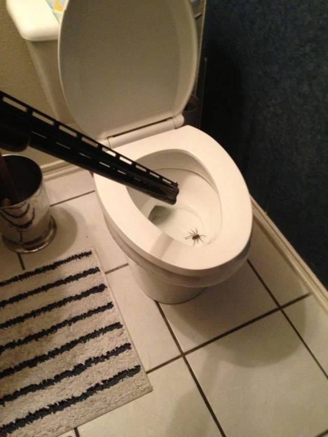 daily picdump 94 pics 22.html - 94 HD Photos | Premium Gallery 2018