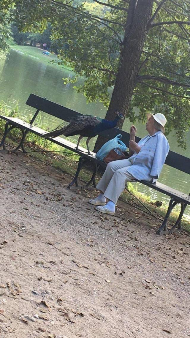 daily picdump 94 pics 22.html - 94 HD Photos | Premium Gallery 2018
