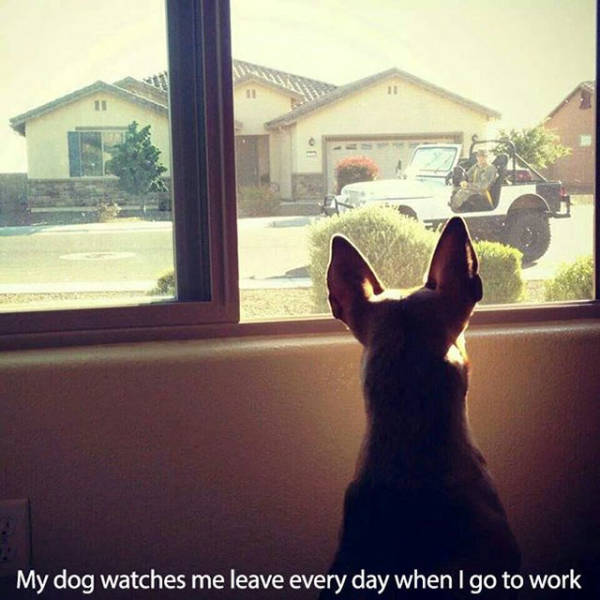 Photos That Will Make You Feel Good