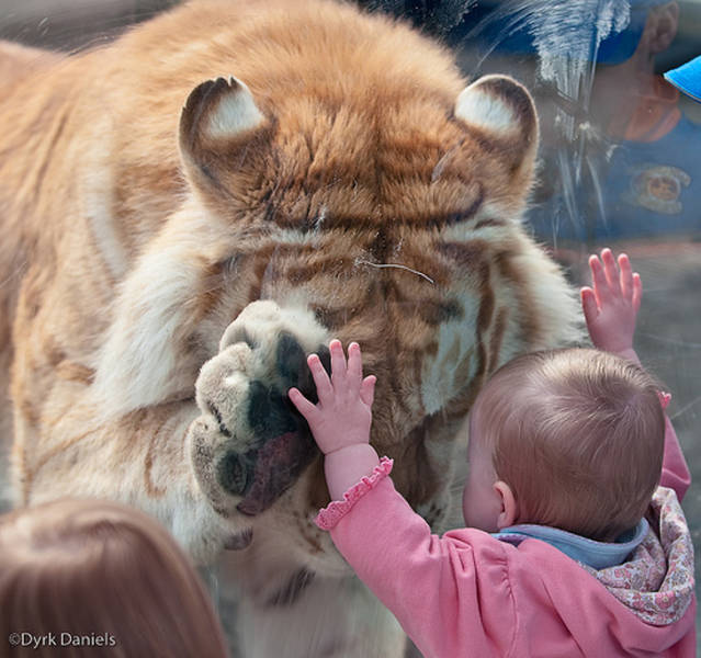Photos That Will Make You Feel Good