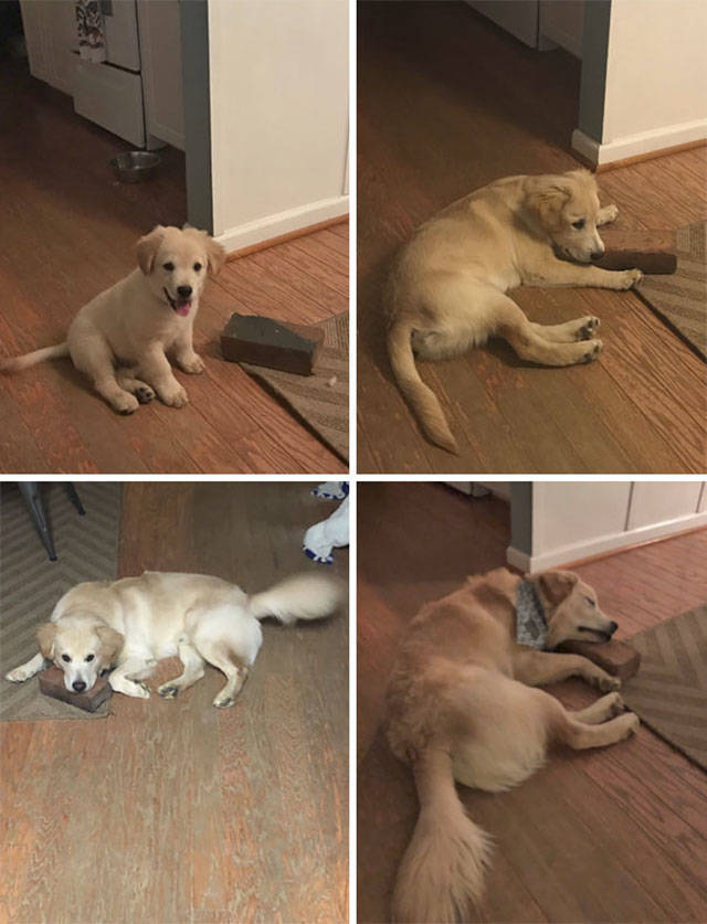 Photos That Will Make You Feel Good