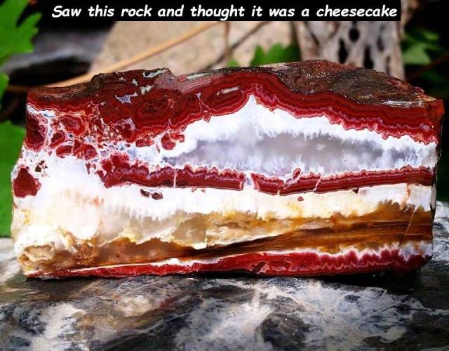 daily picdump 94 pics 39.html - 94 HD Photos | Premium Gallery 2018