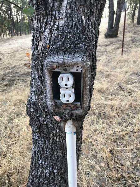 morning picdump 50 pics 15.html - 50 HD Photos | Premium Gallery 2018