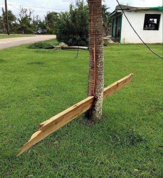 morning picdump 50 pics 15.html - 50 HD Photos | Premium Gallery 2018