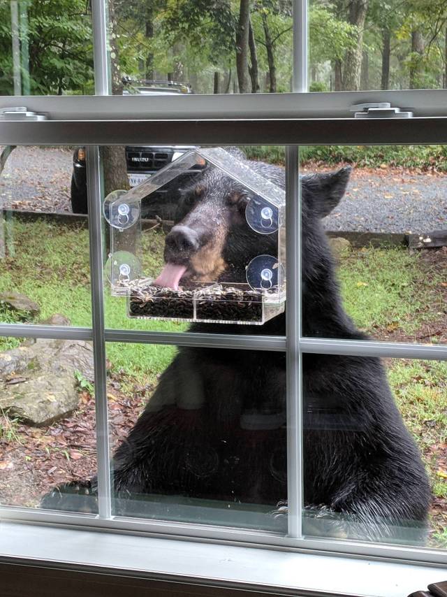 morning picdump 50 pics 15.html - 50 HD Photos | Premium Gallery 2018