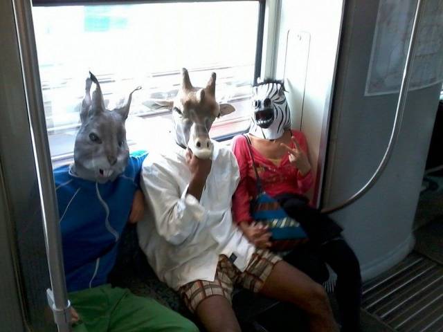 daily picdump 102 pics 39.html - 102 HD Photos | Premium Gallery 2018