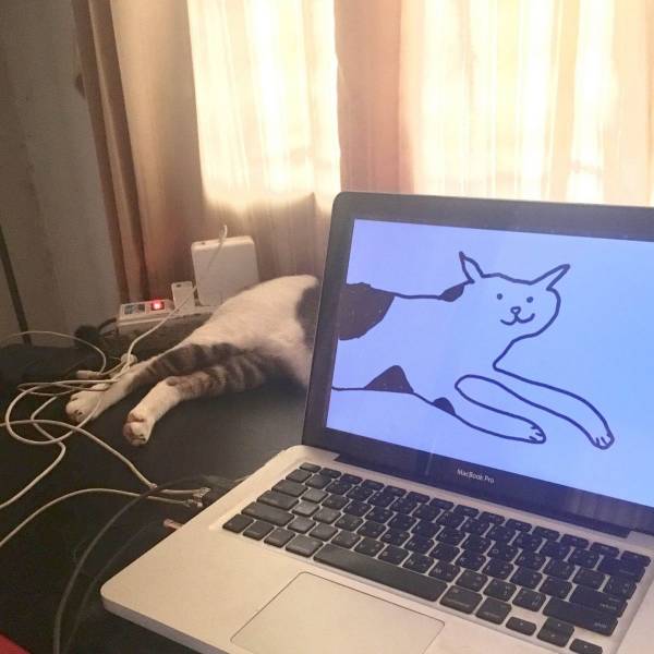 daily picdump 102 pics 39.html - 102 HD Photos | Premium Gallery 2018