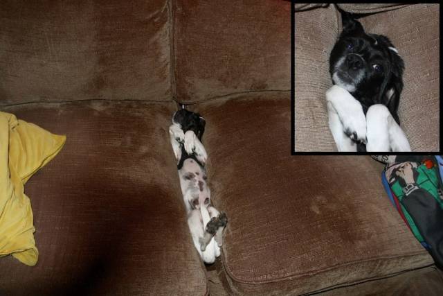 daily picdump 102 pics 39.html - 102 HD Photos | Premium Gallery 2018