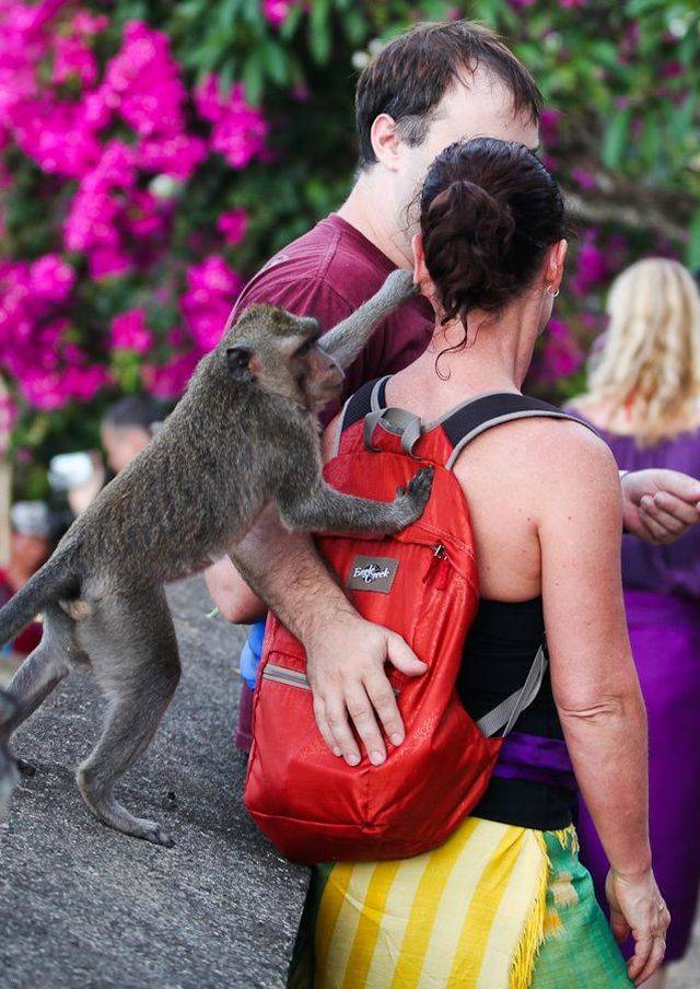 Daily Picdump