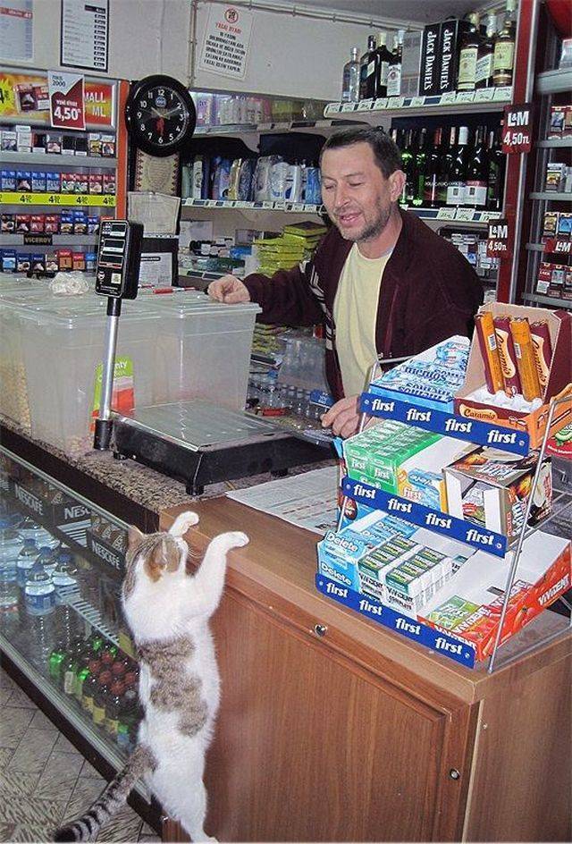 Daily Picdump