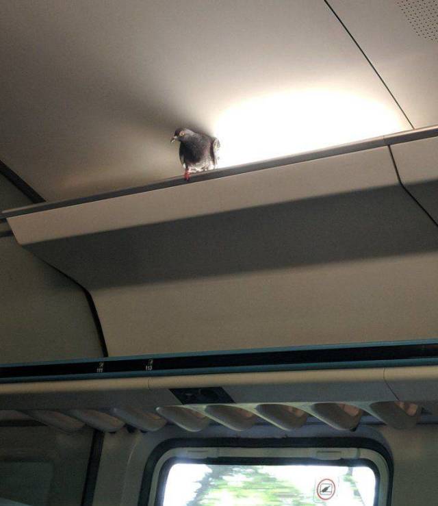 Daily Picdump