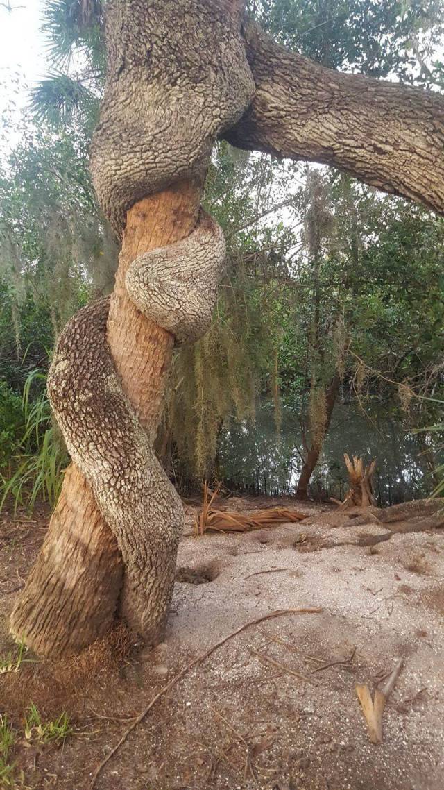 daily picdump 102 pics 39.html - 102 HD Photos | Premium Gallery 2018