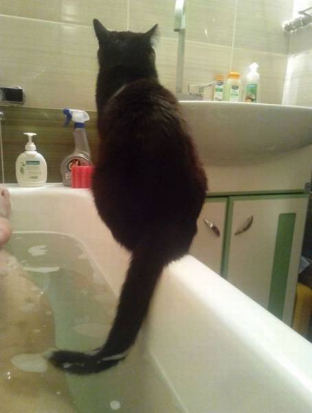 Morning Picdump