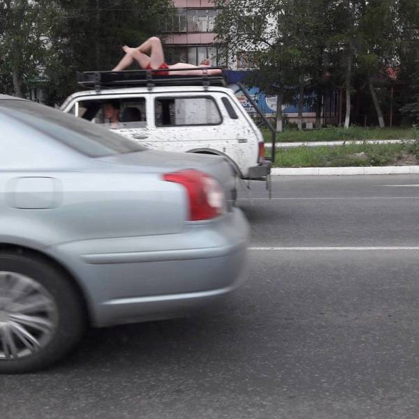 Morning Picdump