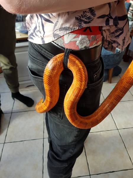 morning picdump 53 pics 1.html - 53 HD Photos | Premium Gallery 2018