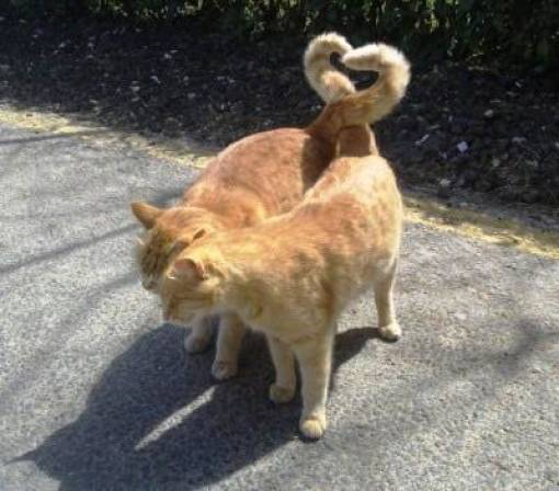 morning picdump 53 pics 1.html - 53 HD Photos | Premium Gallery 2018