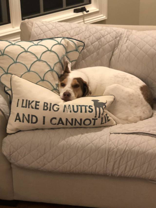 morning picdump 53 pics 1.html - 53 HD Photos | Premium Gallery 2018