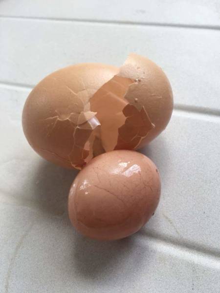 morning picdump 52 pics 11.html - 52 HD Photos | Premium Gallery 2018