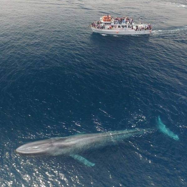 Daily Picdump [WEEKEND EDITION]