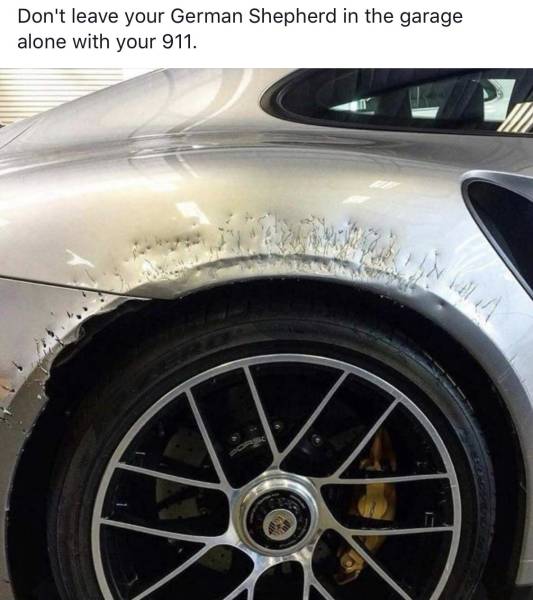 Daily Picdump [WEEKEND EDITION]