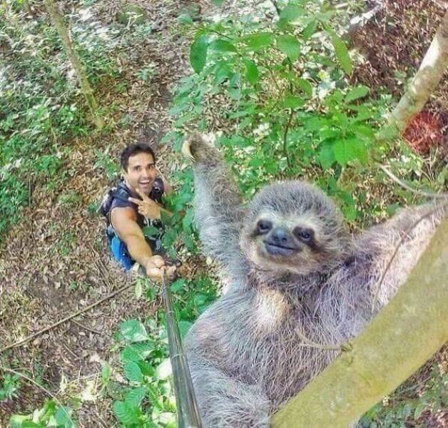 Daily Picdump [WEEKEND EDITION]