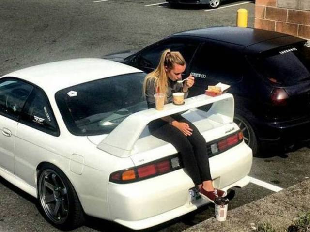 Daily Picdump