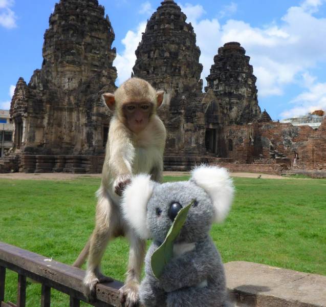 Daily Picdump