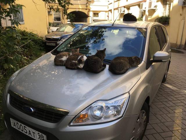 daily picdump 100 pics 40.html - 100 HD Photos | Premium Gallery 2018