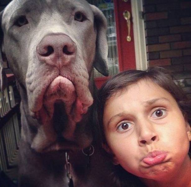 daily picdump 100 pics 40.html - 100 HD Photos | Premium Gallery 2018